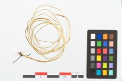 Foto von Goldspiralarmring (NHMW-PRAE-026179)